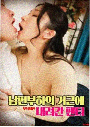 蜘蛛侠 纵横宇宙 陌陌影视